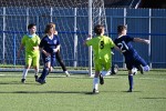 DSC_6990_upn.JPG