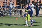 DSC_7207_upn.JPG