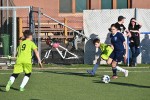 DSC_7479_upn.JPG
