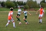 DSC_9776_upn.JPG