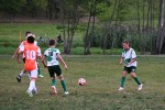 DSC_9806_upn.JPG