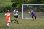 DSC_9820_upn.JPG