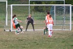 DSC_9835_upn.JPG
