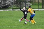 DSC_8031_upn.JPG