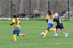 DSC_8116_upn.JPG