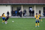 DSC_8300_upn.JPG