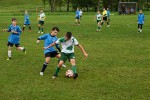 DSC_0461_upn.jpg