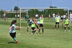 DSC_5838_upn.JPG