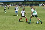 DSC_6055_upn.JPG