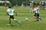 DSC_6256_upn.JPG
