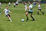 DSC_6423_upn.JPG