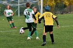 DSC_0344_upn.jpg