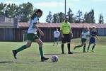 DSC_8754_upn.JPG