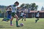 DSC_8812_upn.JPG