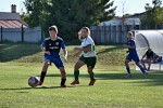 DSC_9022_upn.JPG