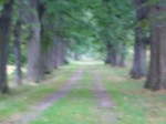 Jméno souboru : HPIM0810.JPG
Velikost souboru : 208KB
Rozměry : 1024x768
Datum přidání : Prosinec 04, 2009 HPIM0810.JPG