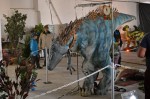 Jméno souboru : DSC_8201_upn.jpg
Velikost souboru : 756KB
Rozměry : 1600x1064
Datum přidání : Říjen 01, 2017 DSC_8201_upn.jpg