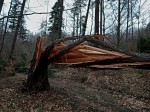 Jméno souboru : kal_2019_11.jpg
Velikost souboru : 1208KB
Rozměry : 1600x1198
Datum přidání : Březen 13, 2019 kal_2019_11.jpg
