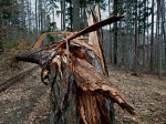 Jméno souboru : kal_2019_12.jpg
Velikost souboru : 1174KB
Rozměry : 1600x1198
Datum přidání : Březen 13, 2019 kal_2019_12.jpg