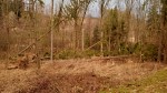 Jméno souboru : kal_2019_8.jpg
Velikost souboru : 781KB
Rozměry : 1600x902
Datum přidání : Březen 13, 2019 kal_2019_8.jpg