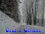 Jméno souboru : vesele_vanoce_blue2_upn.jpg
Velikost souboru : 384KB
Rozměry : 1920x1440
Datum přidání : Prosinec 20, 2019 vesele_vanoce_blue2_upn.jpg