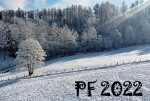 pf2022_blog.jpg