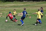 DSC_6782_upn.JPG