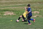 DSC_6798_upn.JPG