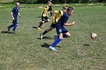 DSC_6879_upn.JPG