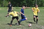 DSC_7070_upn.JPG