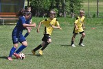 DSC_7101_upn.JPG