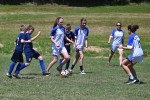 DSC_7206_upn.JPG