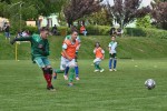 DSC_4241_upn.JPG