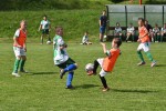 DSC_4326_upn.JPG