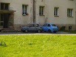 _9050093.JPG