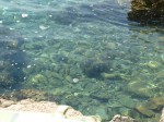 chorvacko_2010_183.JPG
