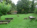 chorvacko_2010_653.JPG