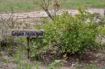 Jméno souboru : DSC_0091_u.jpg
Velikost souboru : 1035KB
Rozměry : 1600x1064
Datum přidání : Říjen 01, 2014 DSC_0091_u.jpg