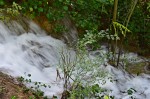 Jméno souboru : DSC_1543_u.jpg
Velikost souboru : 810KB
Rozměry : 1600x1064
Datum přidání : Září 29, 2014 DSC_1543_u.jpg