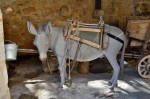 Jméno souboru : DSC_1595_u.jpg
Velikost souboru : 681KB
Rozměry : 1600x1064
Datum přidání : Září 29, 2014 DSC_1595_u.jpg