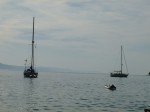 P1000336.JPG