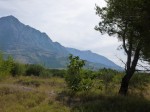 P1000631.JPG