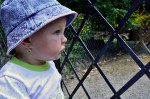 DSC_0807_u.jpg