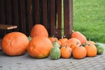 DSC_0013_upn.jpg