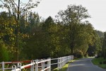 DSC_3688_upn.JPG