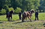 Jméno souboru : DSC_2735_upn.jpg
Velikost souboru : 1225KB
Rozměry : 1600x1064
Datum přidání : Říjen 04, 2015 DSC_2735_upn.jpg