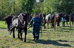 Jméno souboru : DSC_2736_upn.jpg
Velikost souboru : 1166KB
Rozměry : 1600x1064
Datum přidání : Říjen 04, 2015 DSC_2736_upn.jpg