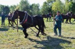 Jméno souboru : DSC_2737_upn.jpg
Velikost souboru : 1084KB
Rozměry : 1600x1064
Datum přidání : Říjen 04, 2015 DSC_2737_upn.jpg