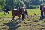 Jméno souboru : DSC_2738_upn.jpg
Velikost souboru : 1191KB
Rozměry : 1600x1064
Datum přidání : Říjen 04, 2015 DSC_2738_upn.jpg