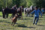 Jméno souboru : DSC_2741_upn.jpg
Velikost souboru : 1147KB
Rozměry : 1600x1064
Datum přidání : Říjen 04, 2015 DSC_2741_upn.jpg